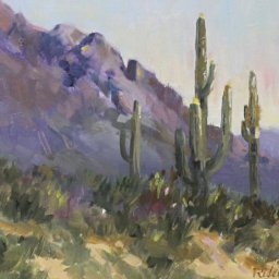Tucson Cactus ● 11" x 14" ● Oil ● $700