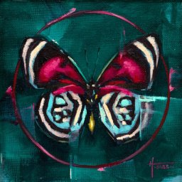 Butterfly I ● 4" x 4" ● Oil ● $298