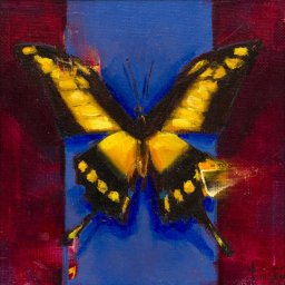 Butterfly II ● 4" x 4" ● Oil ● $298