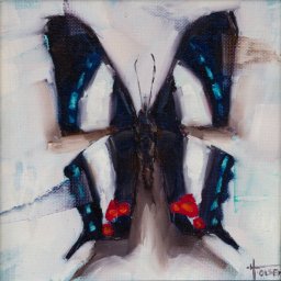 Butterfly III ● 4" x 4" ● Oil ● $298