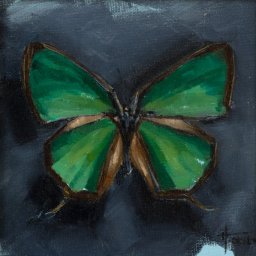 Butterfly IV ● 4" x 4" ● Oil ● $298