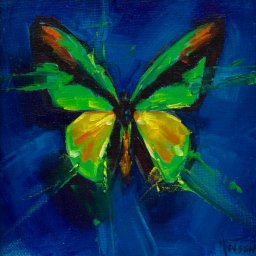 Butterfly VI ● 4" x 4" ● Oil ● $298