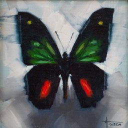 Butterfly VII ● 4" x 4" ● Oil ● $298