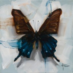 Butterfly IX ● 4" x 4" ● Oil ● $298