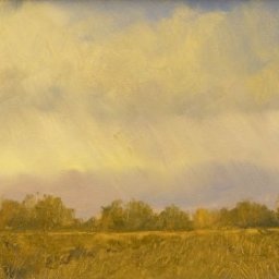 Sunlight and Rain ● 4" x 8" ● Oil ● $250