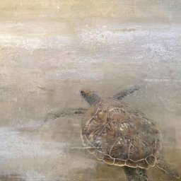 Turtle ● 45" x 55" ● Oil ● SOLD