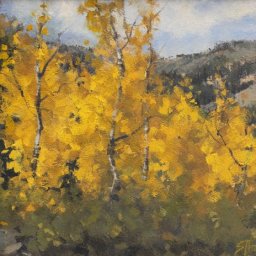 Cottonwood Canyon ● 8" x 10" ● Oil ● SOLD